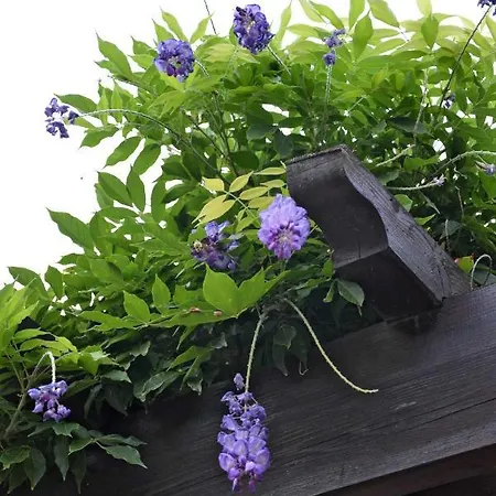 Caste Style Near Cinque Terre Semesterbostad