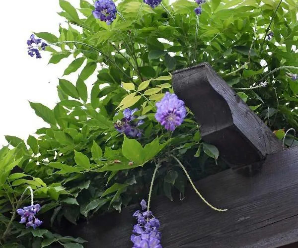 Caste Style Near Cinque Terre Σπίτι διακοπών